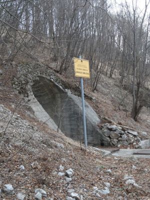 Kliknite za ogled večje slike