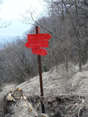 Kliknite za ogled večje slike