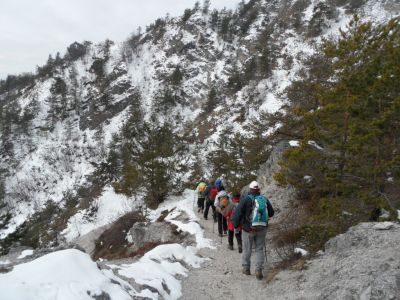 Kliknite za ogled večje slike