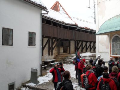 Kliknite za ogled večje slike