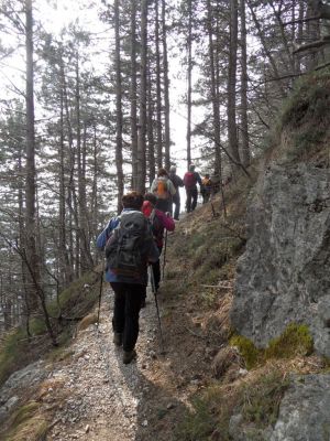 Kliknite za ogled večje slike