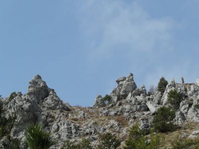 Kliknite za ogled večje slike