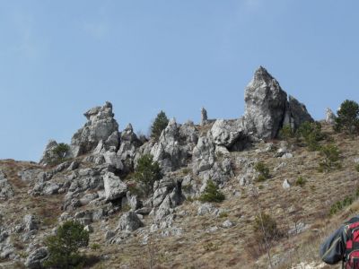 Kliknite za ogled večje slike