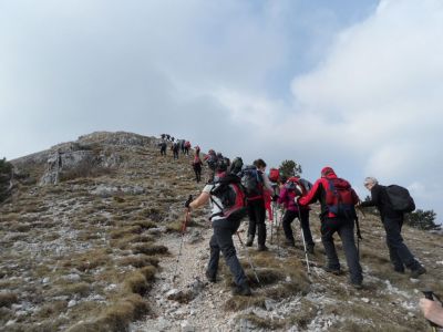 Kliknite za ogled večje slike