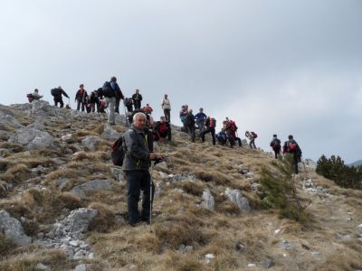Kliknite za ogled večje slike