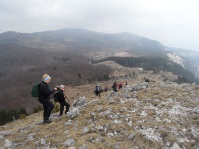 Kliknite za ogled večje slike
