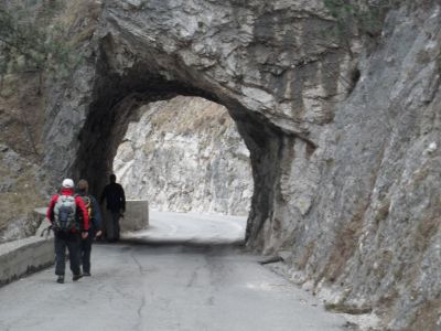 Kliknite za ogled večje slike