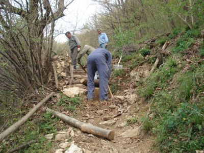 Kliknite za ogled večje slike