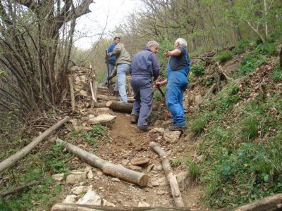 Kliknite za ogled večje slike