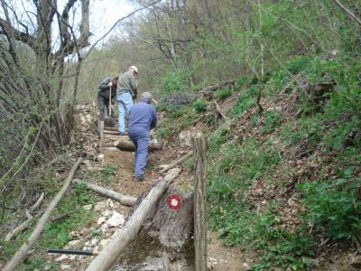 Kliknite za ogled večje slike