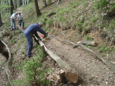 Kliknite za ogled večje slike