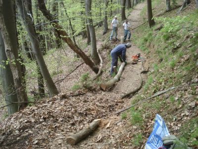 Kliknite za ogled večje slike