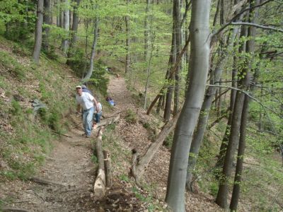 Kliknite za ogled večje slike