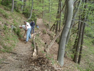 Kliknite za ogled večje slike