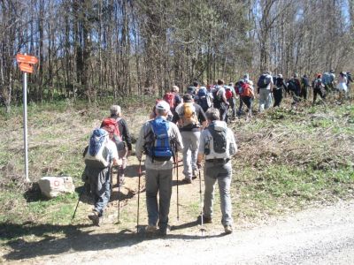 Kliknite za ogled večje slike