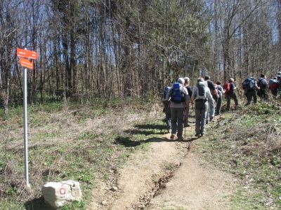 Kliknite za ogled večje slike