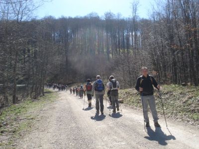 Kliknite za ogled večje slike