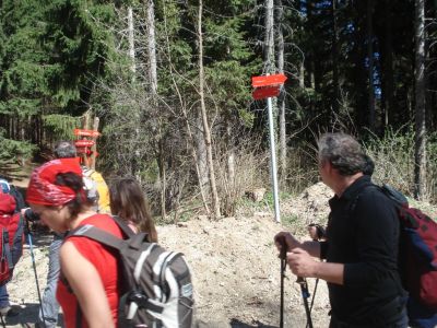 Kliknite za ogled večje slike