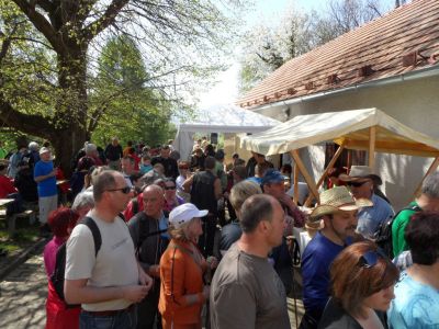 Kliknite za ogled večje slike