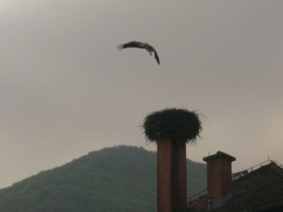 Kliknite za ogled večje slike