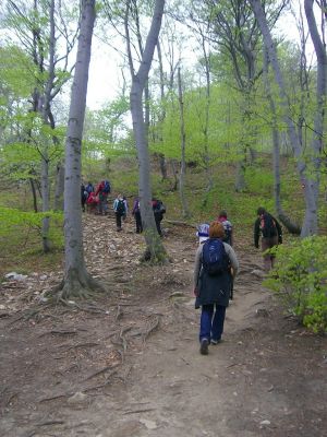 Kliknite za ogled večje slike