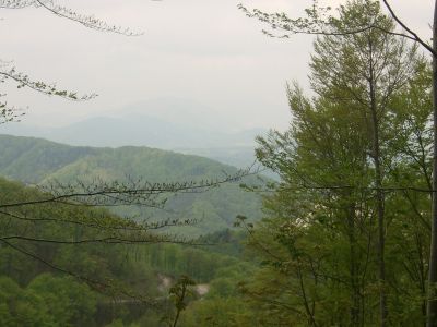 Kliknite za ogled večje slike