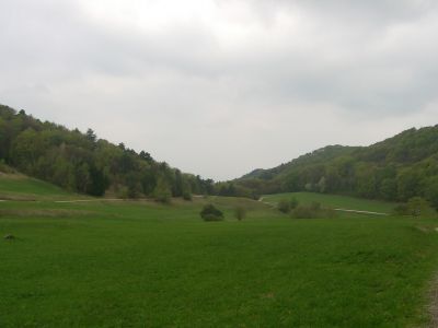 Kliknite za ogled večje slike