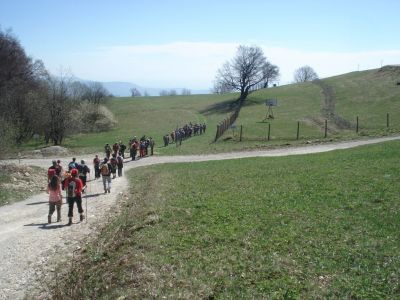 Kliknite za ogled večje slike