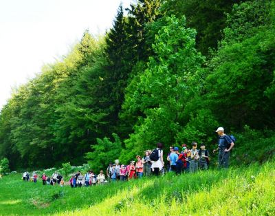 Kliknite za ogled večje slike