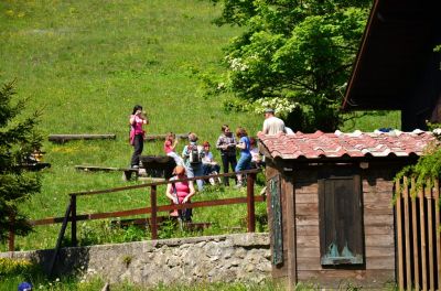 Kliknite za ogled večje slike