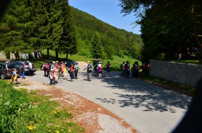 Kliknite za ogled večje slike