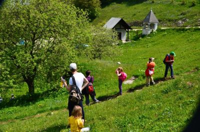 Kliknite za ogled večje slike