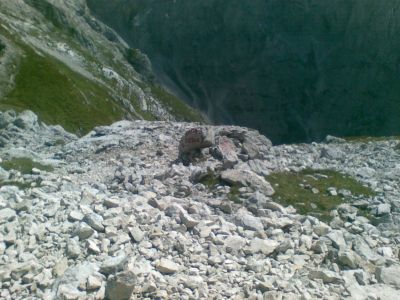 Kliknite za ogled večje slike