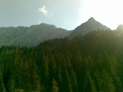Kliknite za ogled večje slike