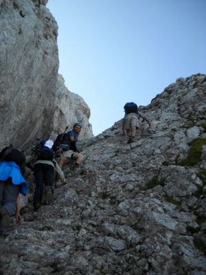 Kliknite za ogled večje slike