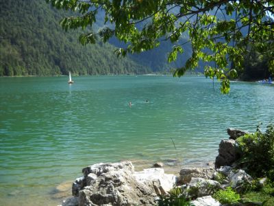 Kliknite za ogled večje slike