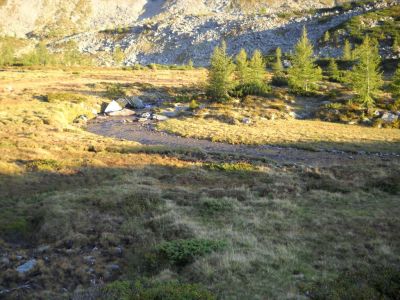 Kliknite za ogled večje slike