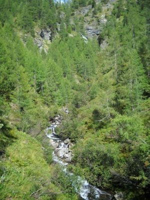 Kliknite za ogled večje slike
