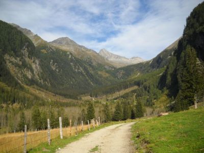 Kliknite za ogled večje slike