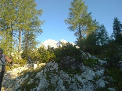 Kliknite za ogled večje slike