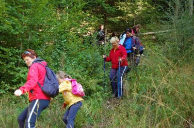 Kliknite za ogled večje slike