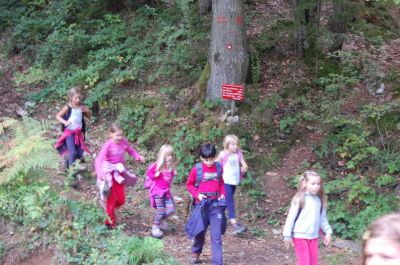 Kliknite za ogled večje slike