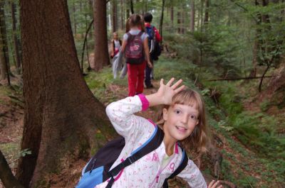 Kliknite za ogled večje slike