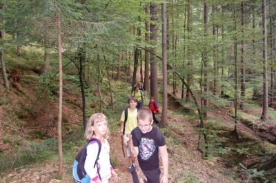 Kliknite za ogled večje slike