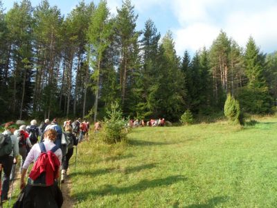 Kliknite za ogled večje slike