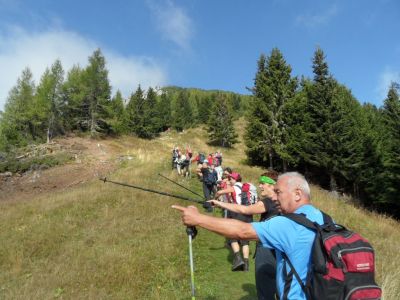 Kliknite za ogled večje slike