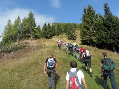 Kliknite za ogled večje slike