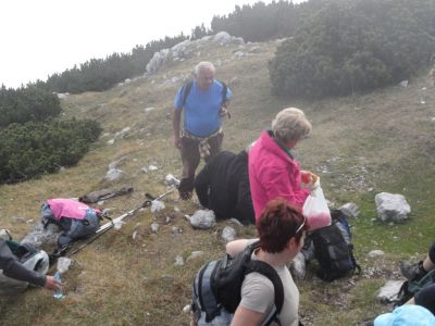 Kliknite za ogled večje slike
