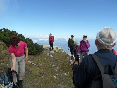 Kliknite za ogled večje slike
