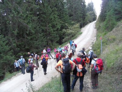 Kliknite za ogled večje slike